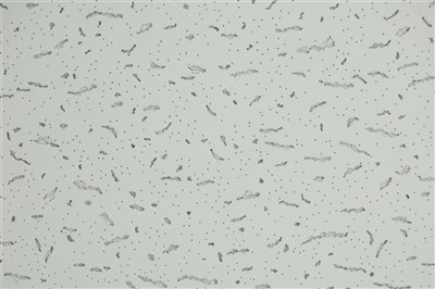 Drėgmei atsparios 600*600mm pakabinamos lubos